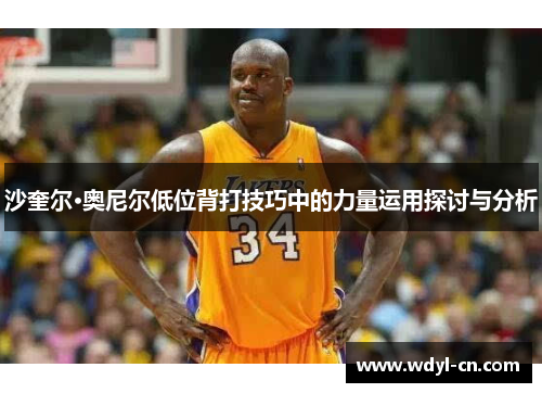 沙奎尔·奥尼尔低位背打技巧中的力量运用探讨与分析