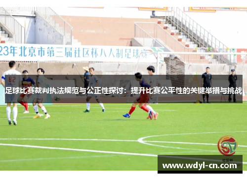 足球比赛裁判执法规范与公正性探讨：提升比赛公平性的关键举措与挑战