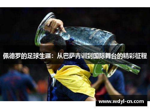佩德罗的足球生涯：从巴萨青训到国际舞台的精彩征程
