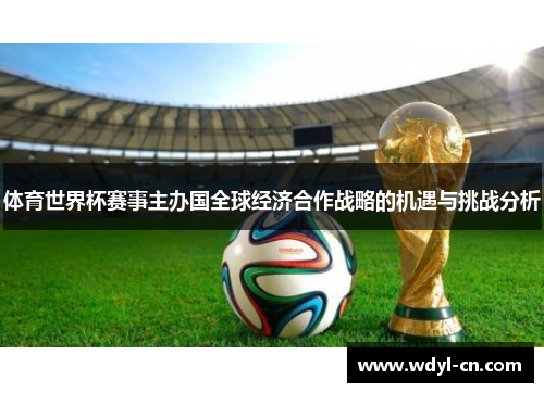 体育世界杯赛事主办国全球经济合作战略的机遇与挑战分析