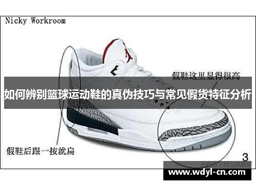 如何辨别篮球运动鞋的真伪技巧与常见假货特征分析