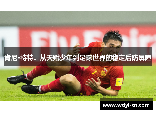 肯尼·特特：从天赋少年到足球世界的稳定后防屏障
