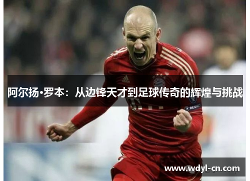 阿尔扬·罗本：从边锋天才到足球传奇的辉煌与挑战