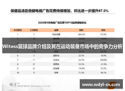 Witess篮球品牌介绍及其在运动装备市场中的竞争力分析