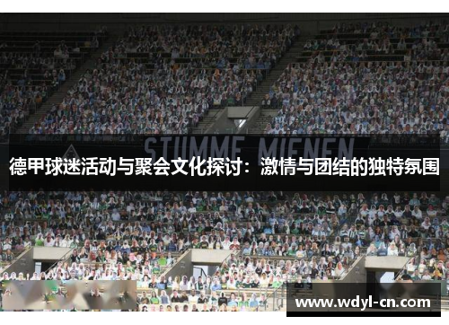 德甲球迷活动与聚会文化探讨：激情与团结的独特氛围