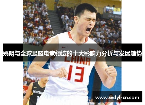 姚明与全球足篮电竞领域的十大影响力分析与发展趋势