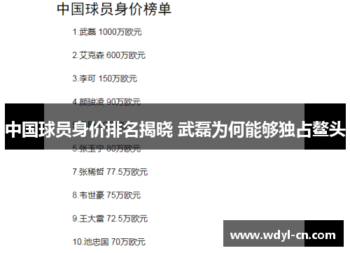 中国球员身价排名揭晓 武磊为何能够独占鳌头
