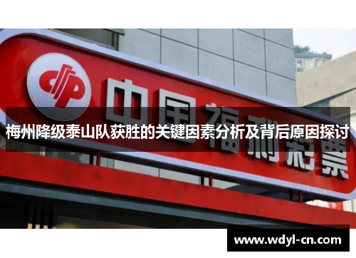 梅州降级泰山队获胜的关键因素分析及背后原因探讨