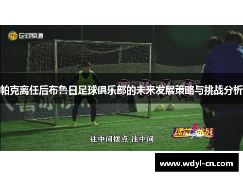 帕克离任后布鲁日足球俱乐部的未来发展策略与挑战分析