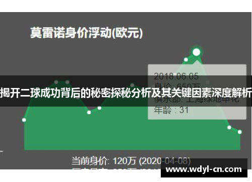 揭开二球成功背后的秘密探秘分析及其关键因素深度解析