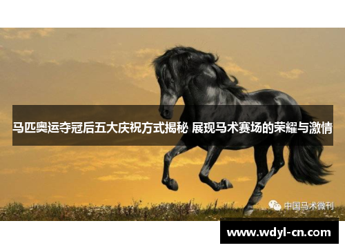 马匹奥运夺冠后五大庆祝方式揭秘 展现马术赛场的荣耀与激情