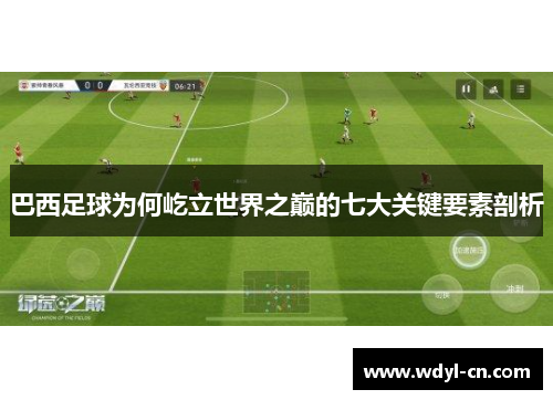 巴西足球为何屹立世界之巅的七大关键要素剖析