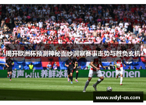 揭开欧洲杯预测神秘面纱洞察赛事走势与胜负玄机
