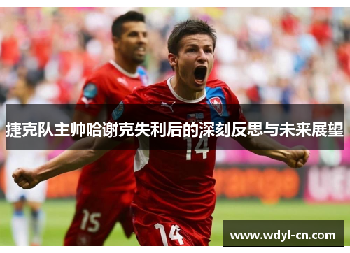 捷克队主帅哈谢克失利后的深刻反思与未来展望